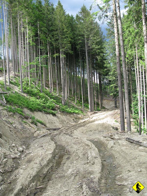 foto 106.jpg - Zielony przez chwilę prowadzi stokówką w tragicznym stanie. Na szczęście za moment odbija w prawo na ścieżkę, gdzie możemy pomykać już tylko w dół. Na koniec mijamy Bilerów, którzy pchali rowery po kamieniach, gdzie zaczynał się zielony szlak (niby rowerowy) z Rycerki dolnej. Pytali jak jest wyżej, niestety nie mieliśmy dla nich dobrych wiadomości…